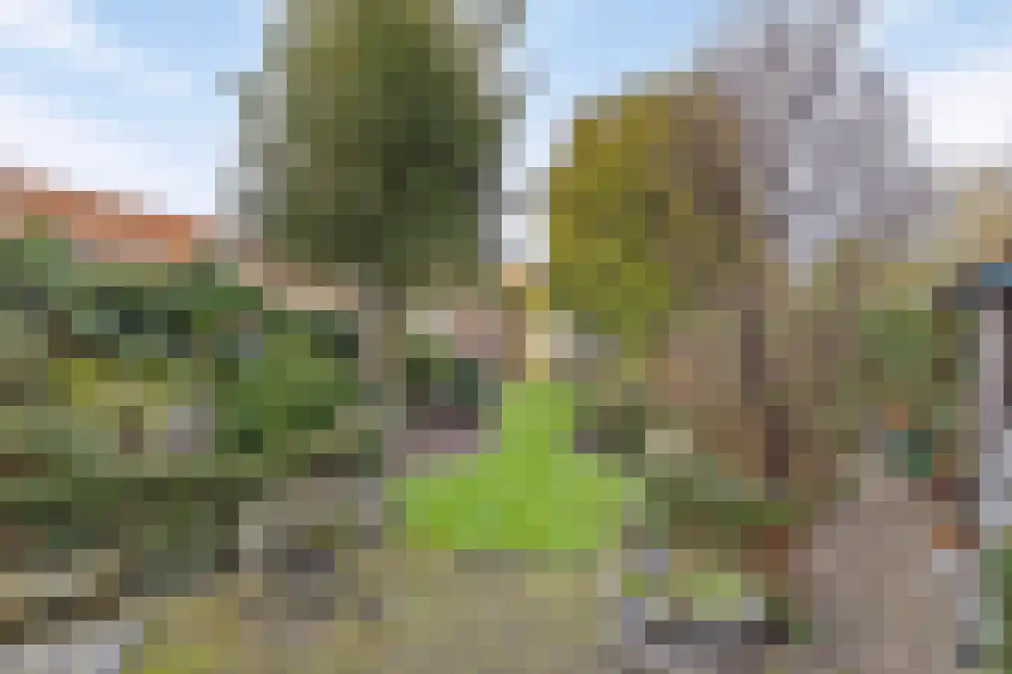 Markt 6 Valkenswaard thumbnail 40