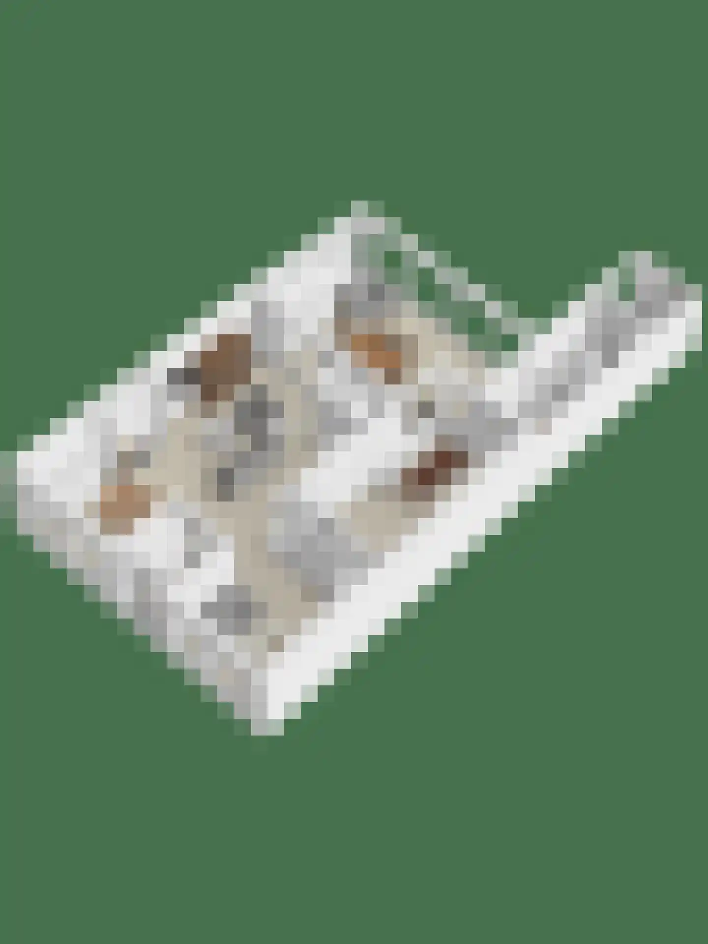 Markt 6 Valkenswaard thumbnail 60