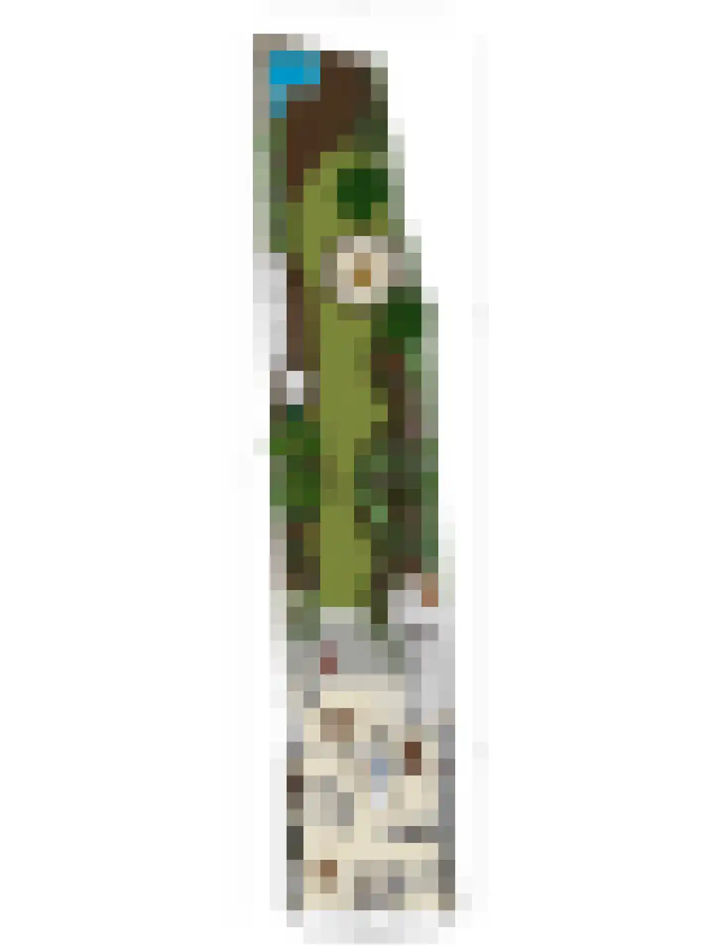 Markt 6 Valkenswaard thumbnail 64
