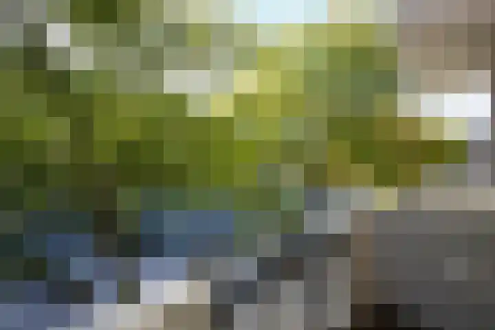 Markt 72 Geleen thumbnail 13