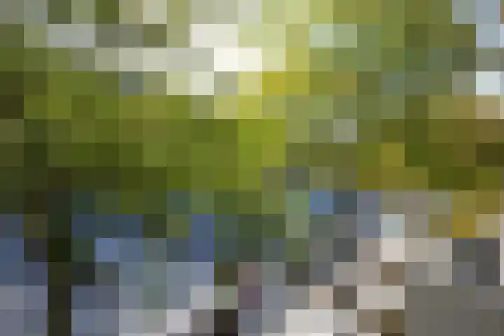 Markt 72 Geleen thumbnail 21