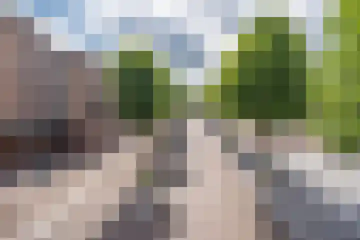 Markt 81 Uden thumbnail 5