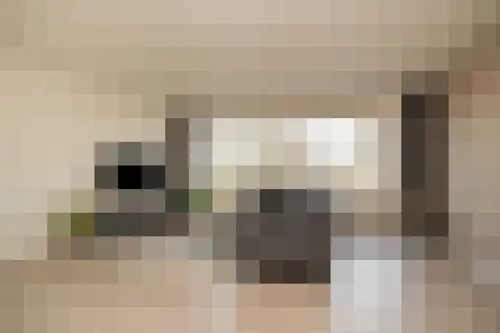 Markt 9 11 Druten thumbnail 10