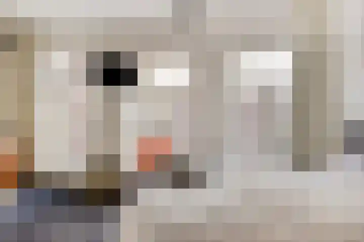 Marktgang 1 Kampen thumbnail 14