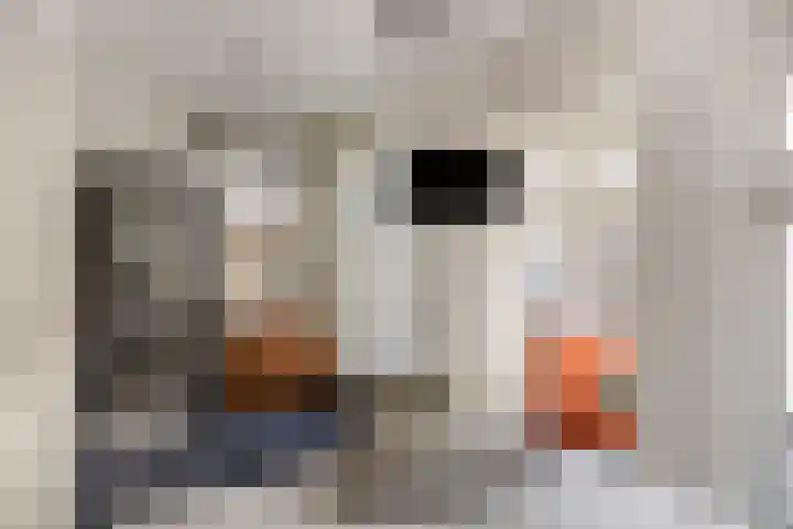 Marktgang 1 Kampen thumbnail 15