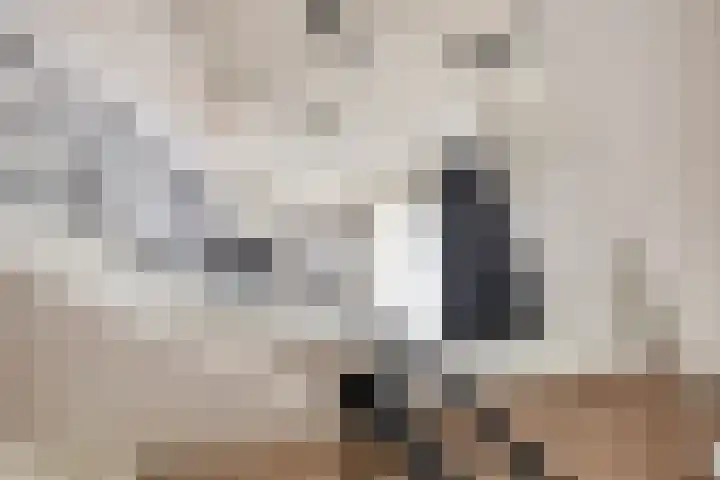 Marktgang 1 Kampen thumbnail 43