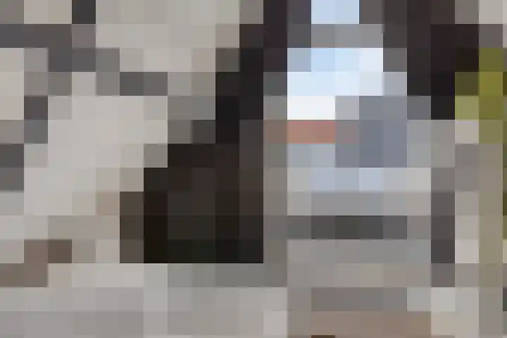 Marktgang 1 Kampen thumbnail 48