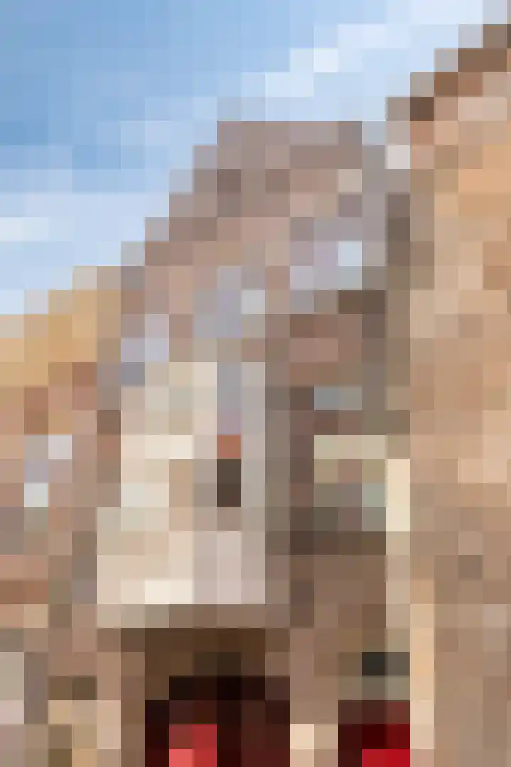 Marktgang 1 Kampen thumbnail 5