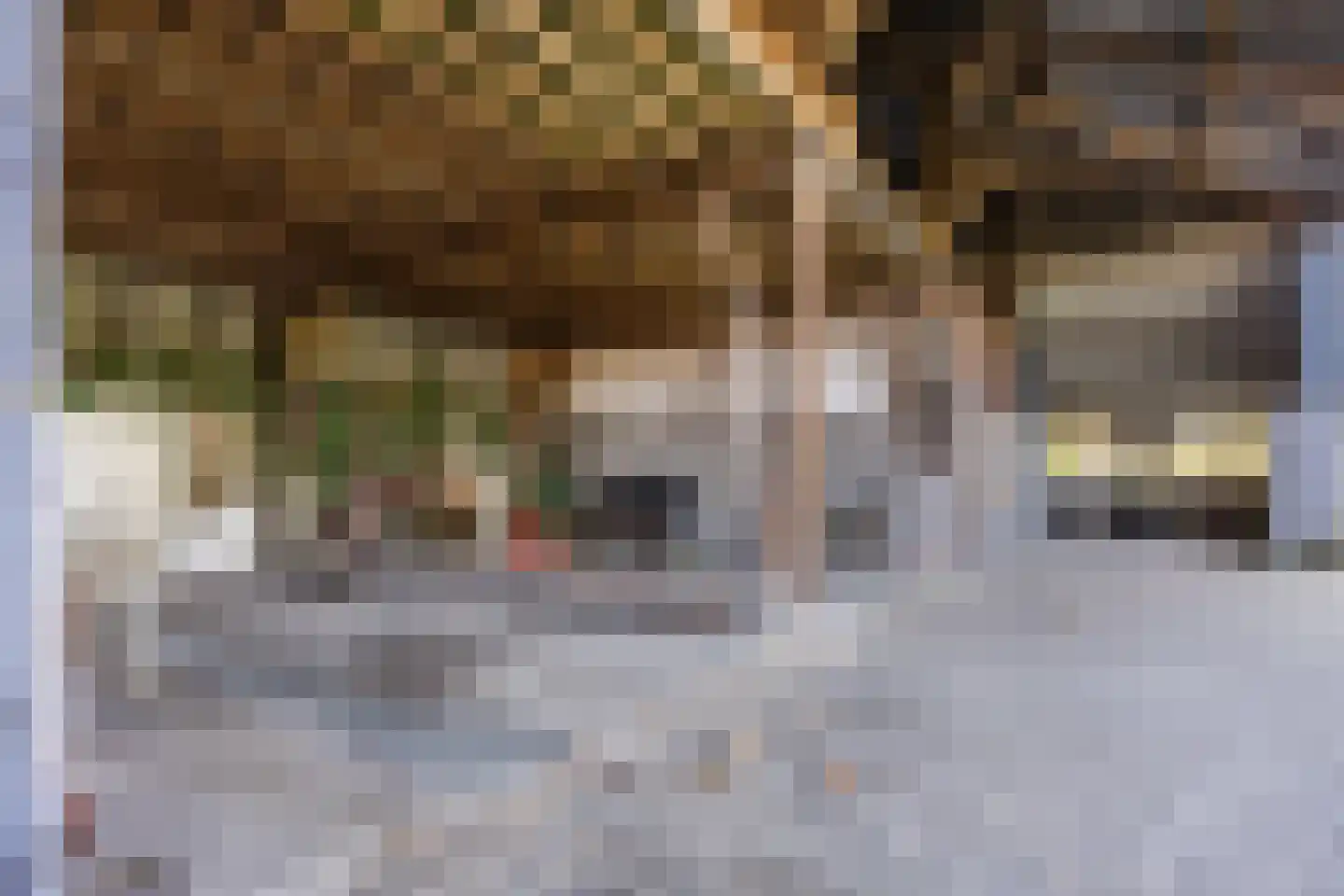 Marktplein 17 Lith thumbnail 69