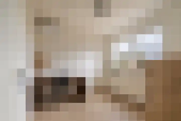 Marktsingel 36 Echt thumbnail 19