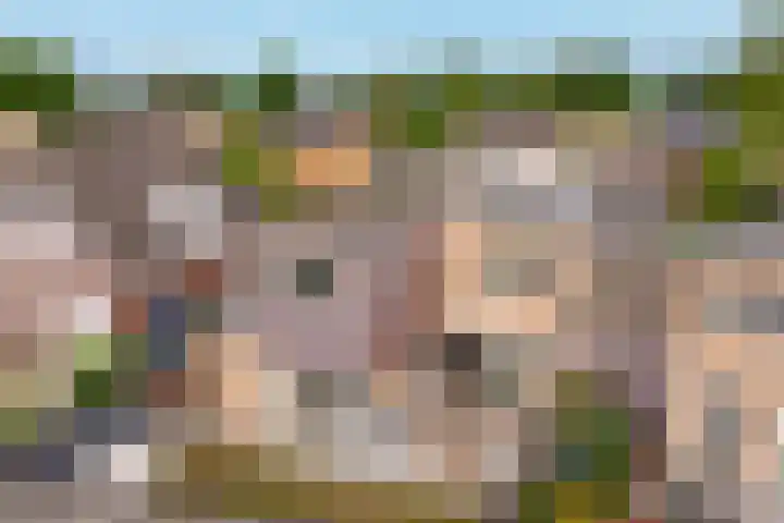 Marktsingel 36 Echt thumbnail 26