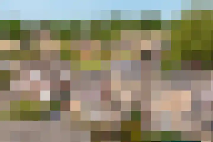 Marktsingel 36 Echt thumbnail 27