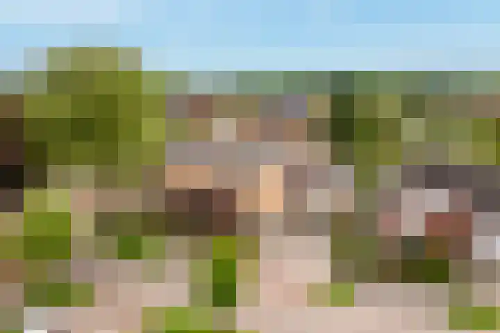 Marktsingel 36 Echt thumbnail 28