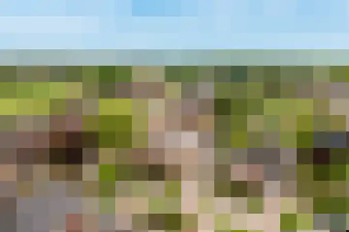 Marktsingel 36 Echt thumbnail 30