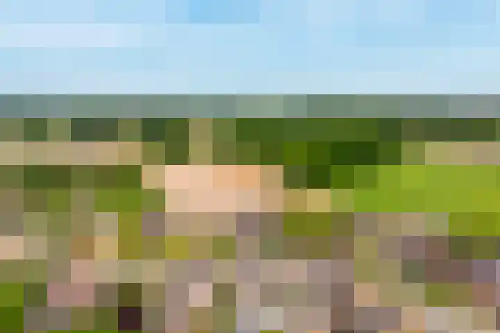 Marktsingel 36 Echt thumbnail 31