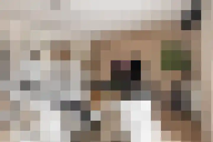 Marktsingel 36 Echt thumbnail 6