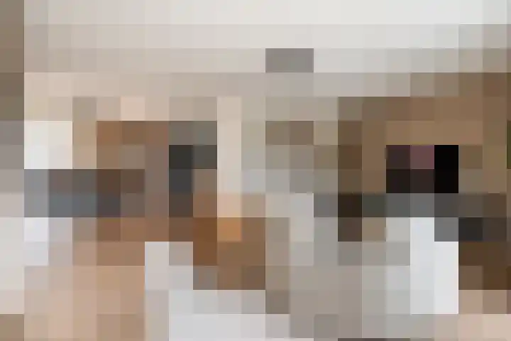 Marktsingel 36 Echt thumbnail 8