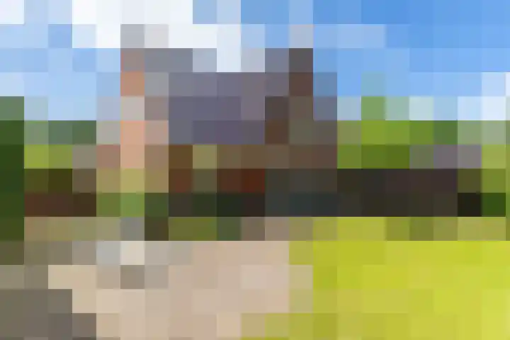 Marktstraat 1 Marum thumbnail 57