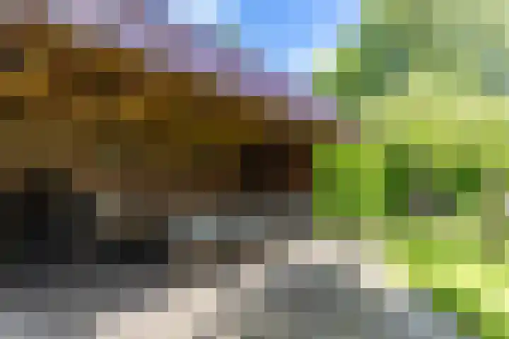 Marktstraat 1 Marum thumbnail 61