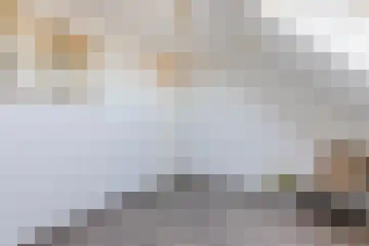 Marktstraat 2 H Bladel thumbnail 25