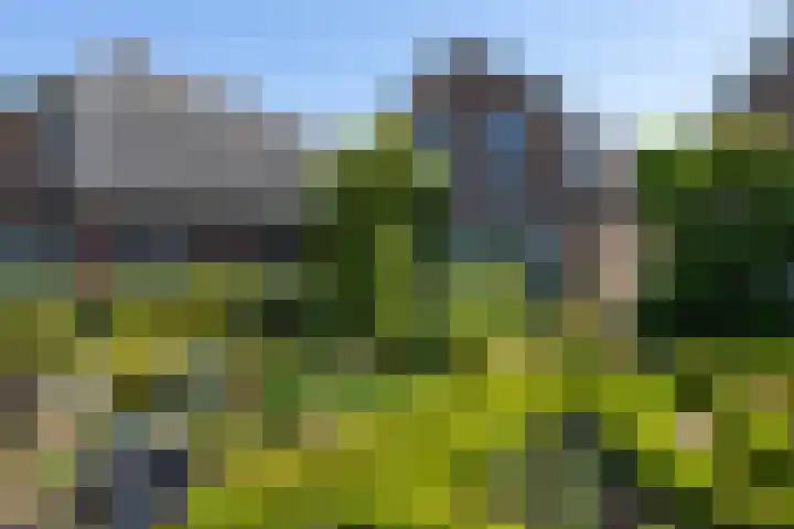 Marktstraat 20 Neede thumbnail 34