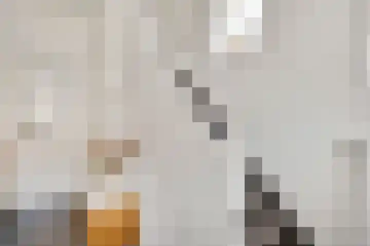 Marktstraat 3 Herten thumbnail 5