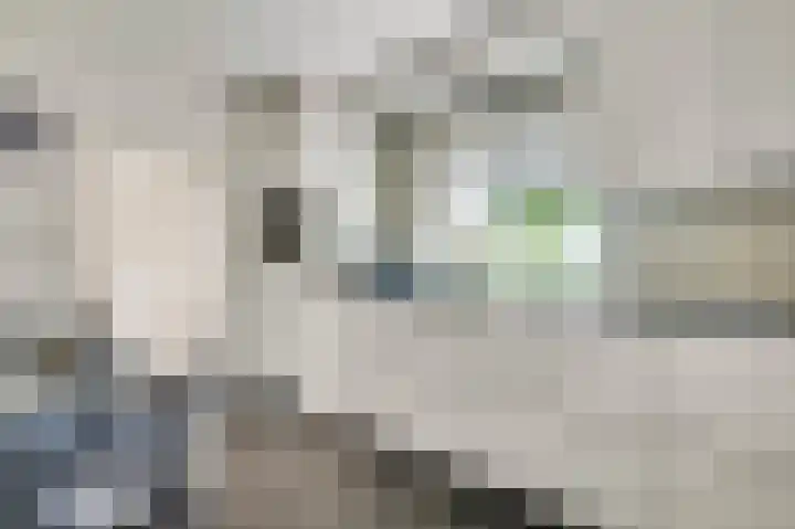 Marktstraat 3 Herten thumbnail 9