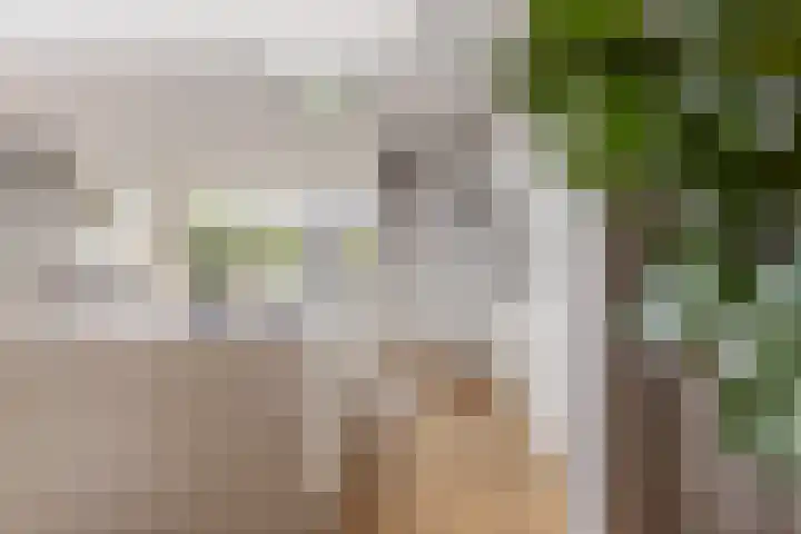 Marktstraat 4 Mierlo thumbnail 21