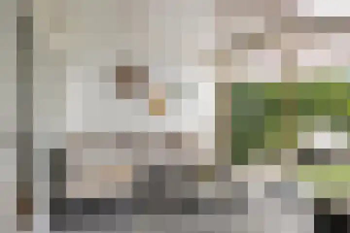 Marktstraat 4 Mierlo thumbnail 37