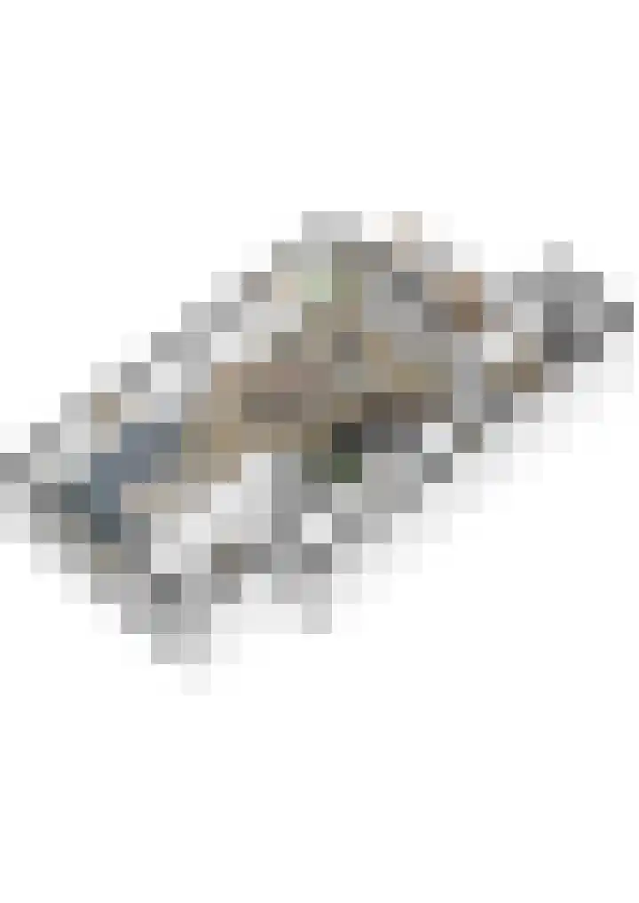 Marktstraat 4 Mierlo thumbnail 54