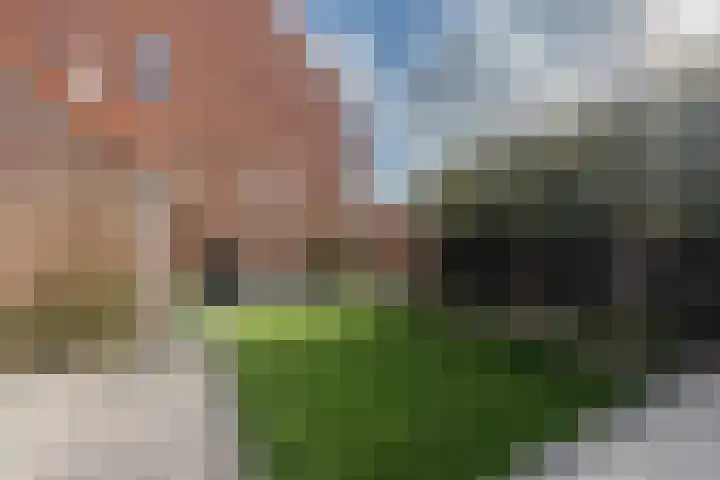 Marktveld 7 Valkenburg thumbnail 26
