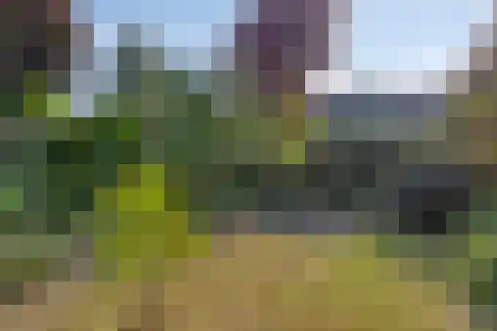 Markweg 5 Renkum thumbnail 28