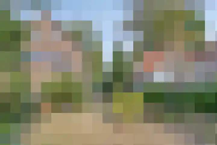 Markweg 5 Renkum thumbnail 29