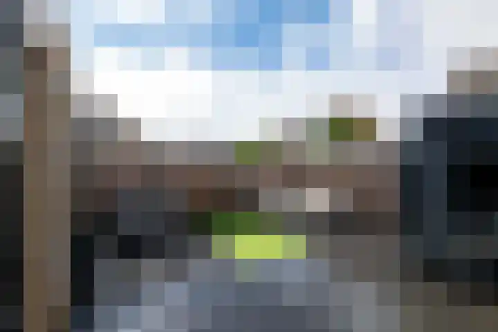 Marmot 11 Hellevoetsluis thumbnail 27