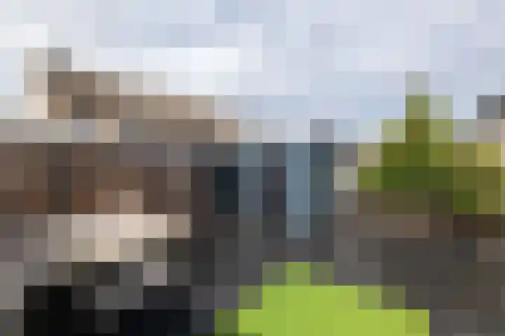 Marmot 11 Hellevoetsluis thumbnail 6