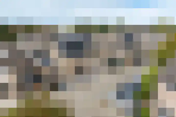 Marmot 11 Hellevoetsluis thumbnail 7