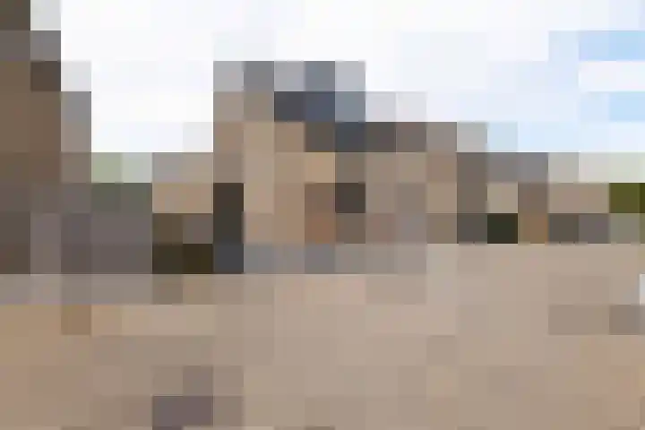 Marmot 11 Hellevoetsluis thumbnail 8
