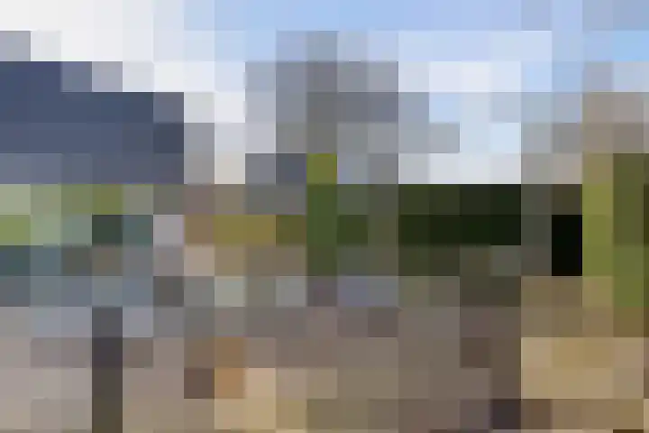 Marne 49 Drachten thumbnail 41