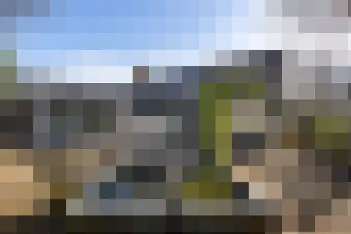 Marne 49 Drachten thumbnail 42