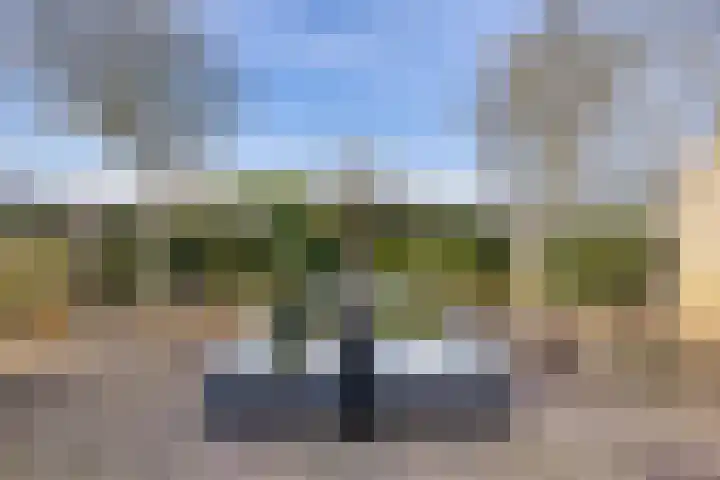Marne 49 Drachten thumbnail 43