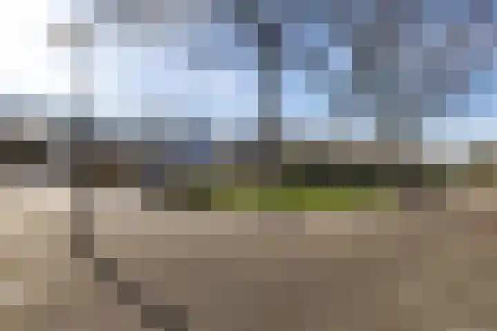 Marne 49 Drachten thumbnail 6