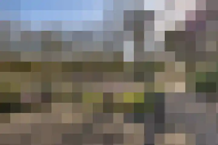 Marne 49 Drachten thumbnail 7