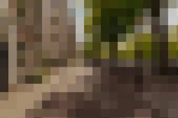 Marnixkade 60 3 Amsterdam thumbnail 29