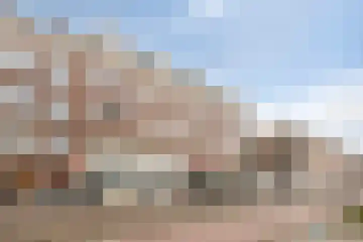 Marnixstraat 257 1 Amsterdam thumbnail 20