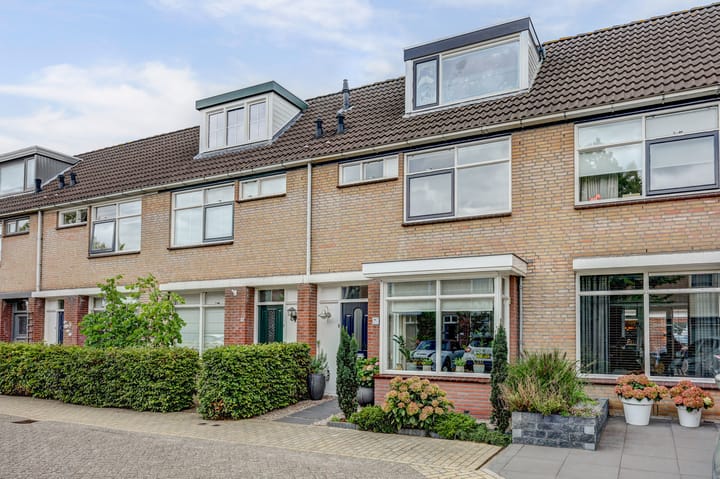 Maroc 11 in De Lier foto