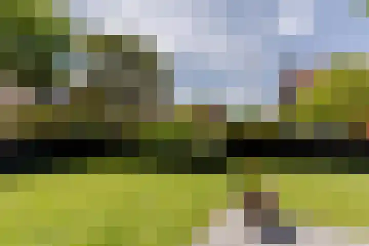 Marocstraat 31 Naaldwijk thumbnail 12