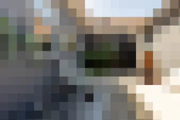 Marocstraat 31 Naaldwijk thumbnail 30