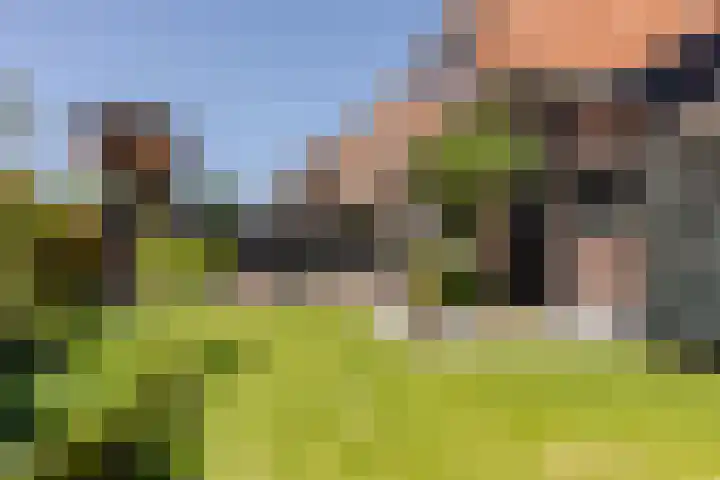 Marocstraat 31 Naaldwijk thumbnail 7