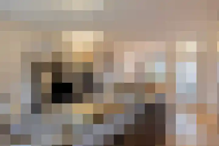 Mars 4 Herveld thumbnail 12