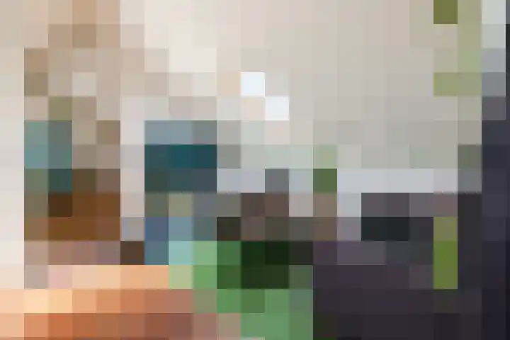 Mars 4 Herveld thumbnail 18